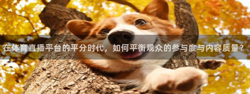 黑白直播体育在线观看：在体育直播平台的平分时代，如何平衡观众的参与度与内容质量？