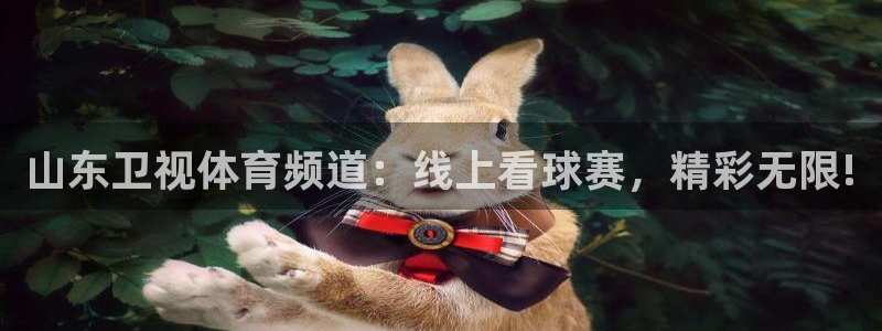nba黑白直播吧：山东卫视体育频道：线上看球赛，精彩无限!